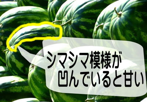 スイカ,美味しい,切り方
