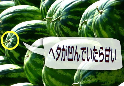 スイカ,美味しい,切り方